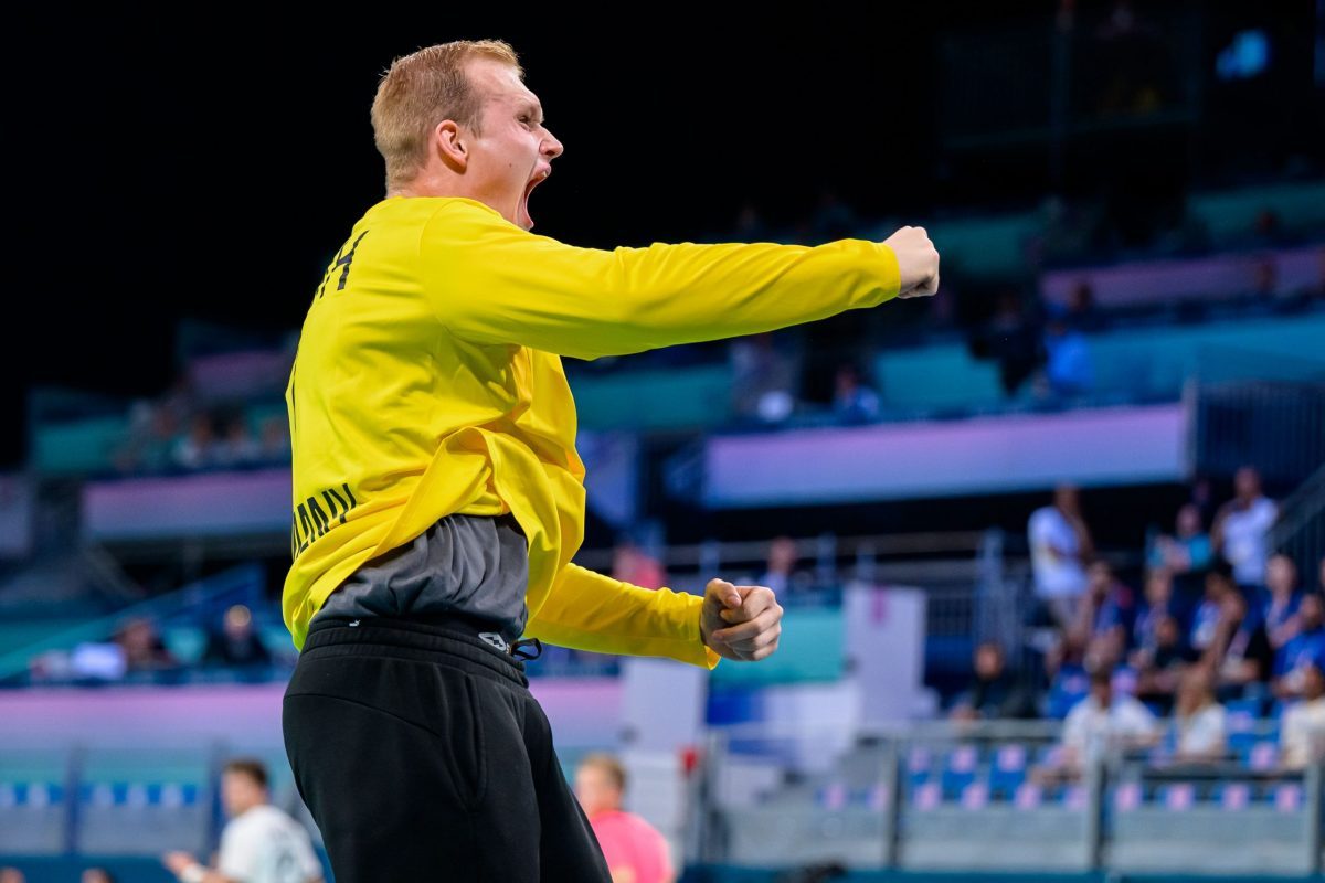 Handball-Wahnsinn in Lille