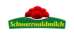 Rhein-Neckar Löwen Hauptsponsor