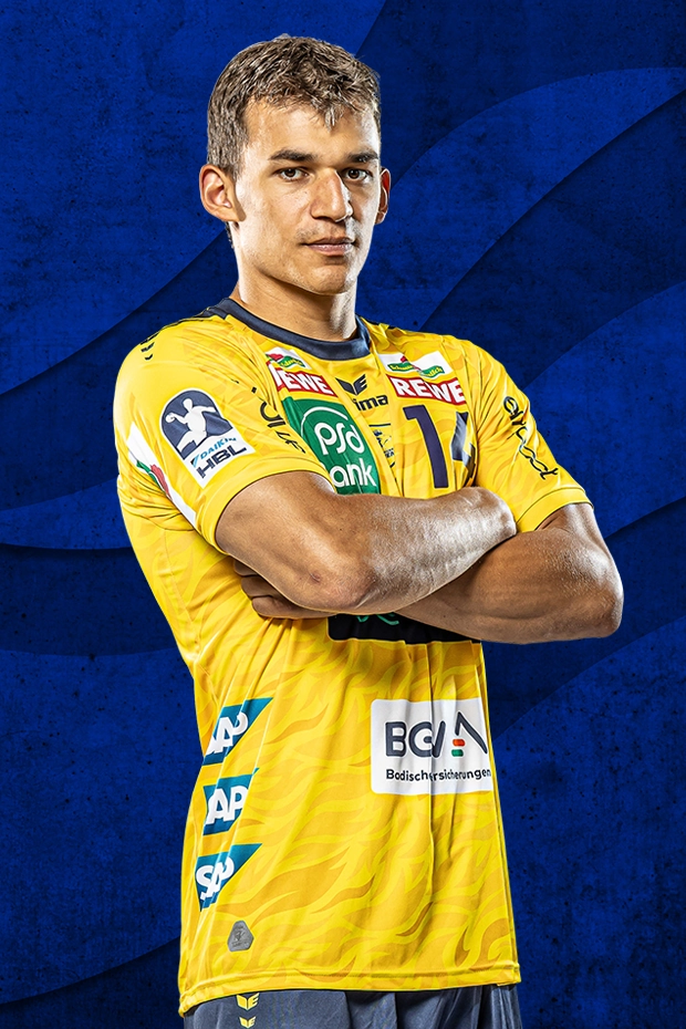 Gino Steenaerts