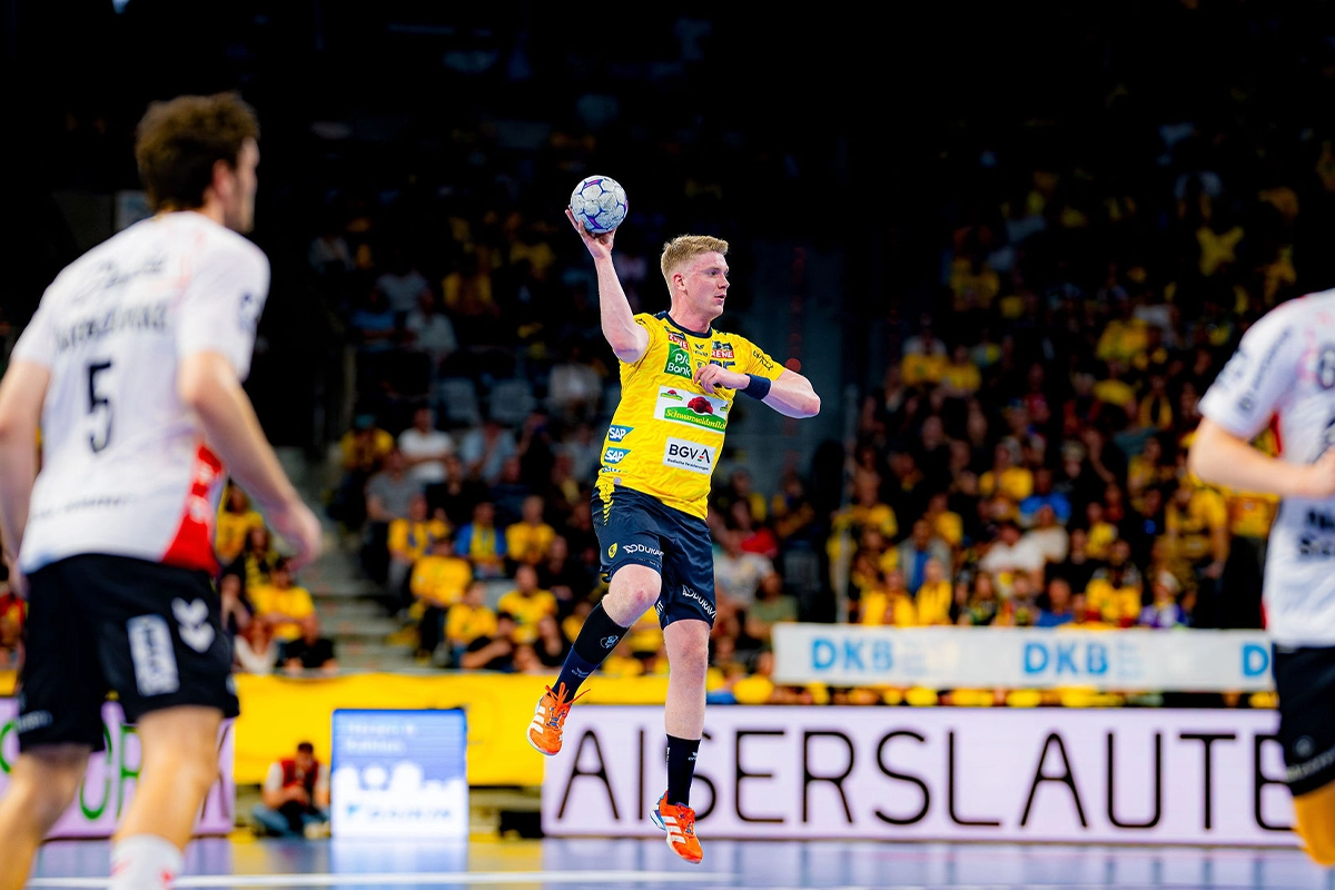 Löwen gegen Flensburg