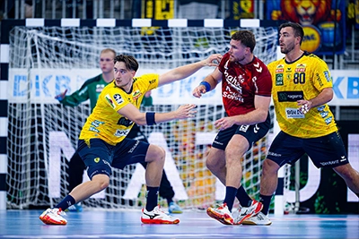 Löwen gegen Flensburg