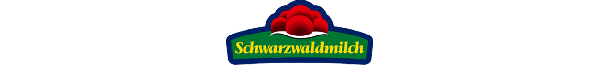 Rhein-Neckar Löwen Hauptsponsor