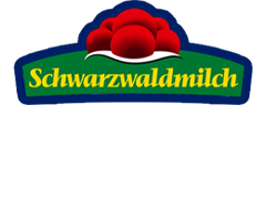 Rhein-Neckar Löwen Hauptsponsor