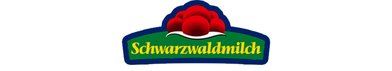 Rhein-Neckar Löwen Hauptsponsor