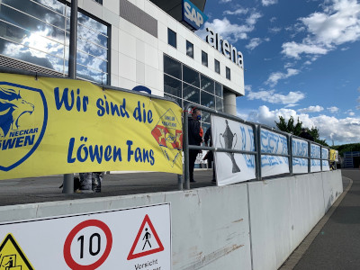 Baden Lions zeigen Flagge bei EHF FINALS: Der mitgliederstärkste Fan-Club der Rhein-Neckar Löwen bereichert Heim-Final-Four in der SAP Arena